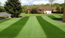 Premiership pitch for Bolton Garden